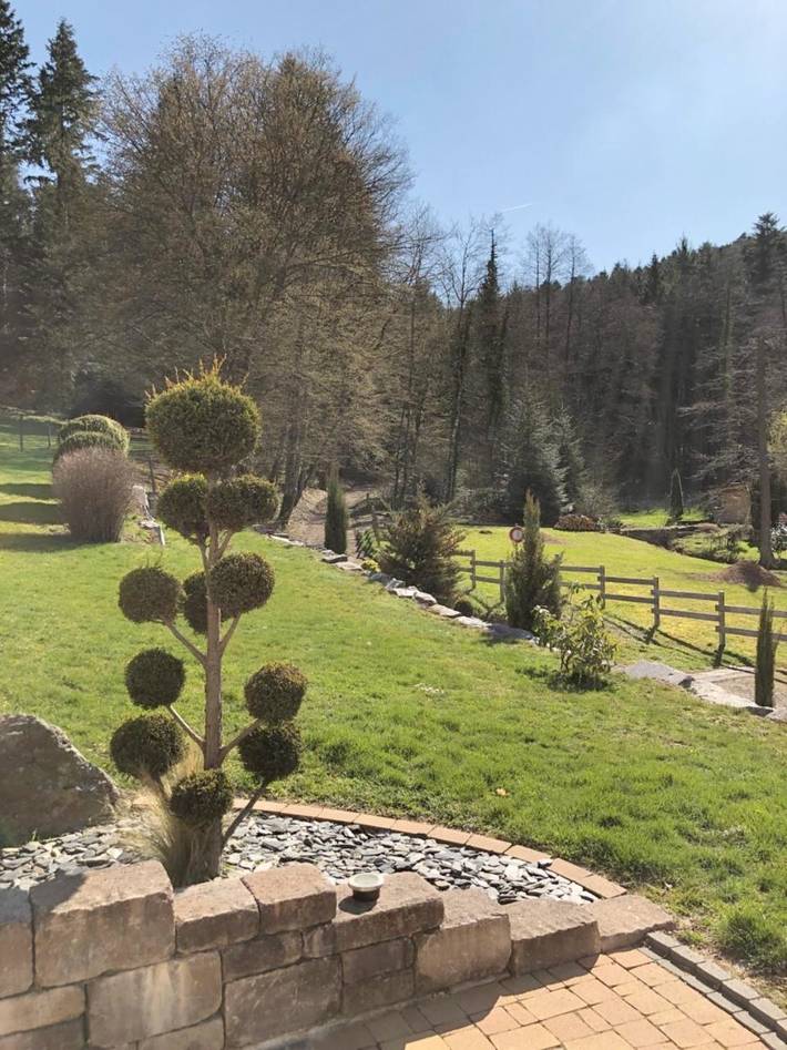 Location de vacances pour 5 personnes, avec terrasse et vue à Buhl - 2