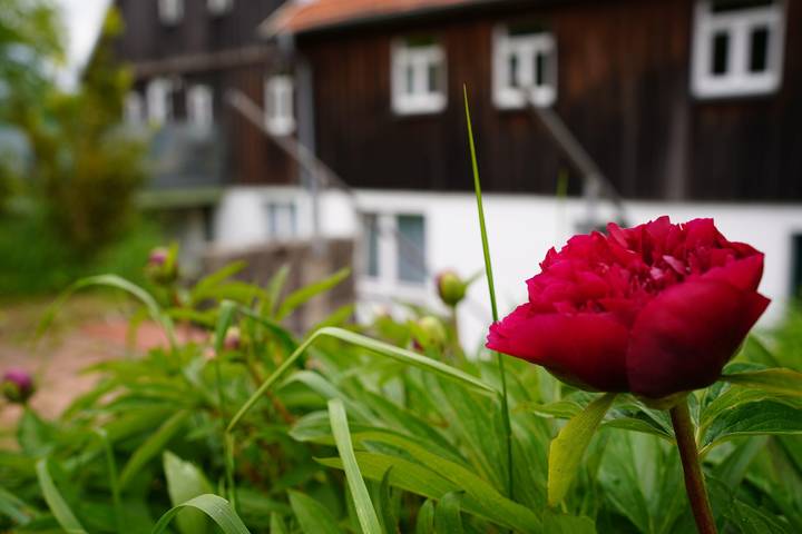 Ganze Ferienwohnung, Fewo Kreuzberg 65qm mit Terrasse in Ehrenberg, Rhön-Hessen