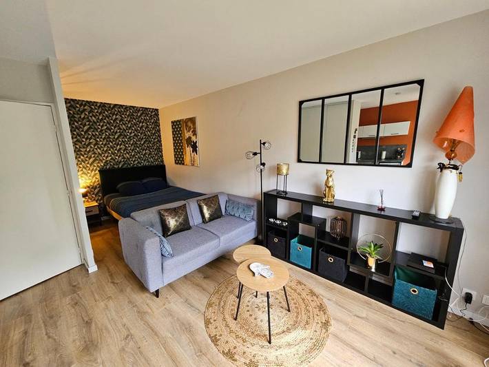 Gîte pour 2 personnes, avec terrasse, animaux acceptés à Billère - 3