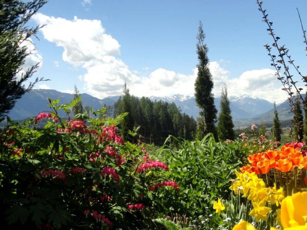 Ganze Wohnung, Salvia in Millstatt in Millstatt, Bezirk Spittal an der Drau
