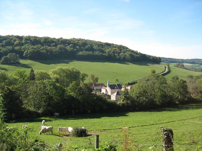Château pour 15 personnes, avec terrasse et jardin, animaux acceptés dans Côte-d'Or - 2