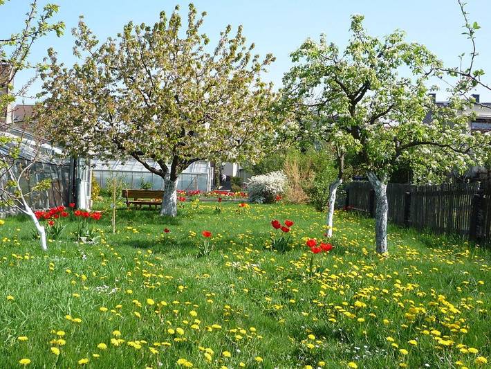 Apartamento vacacional Brigitta in Radebeul, Meissen Region