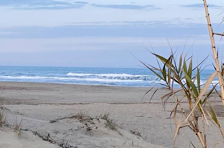 Location de vacances pour 6 personnes, avec jardin à Villelongue-de-la-Salanque - 2