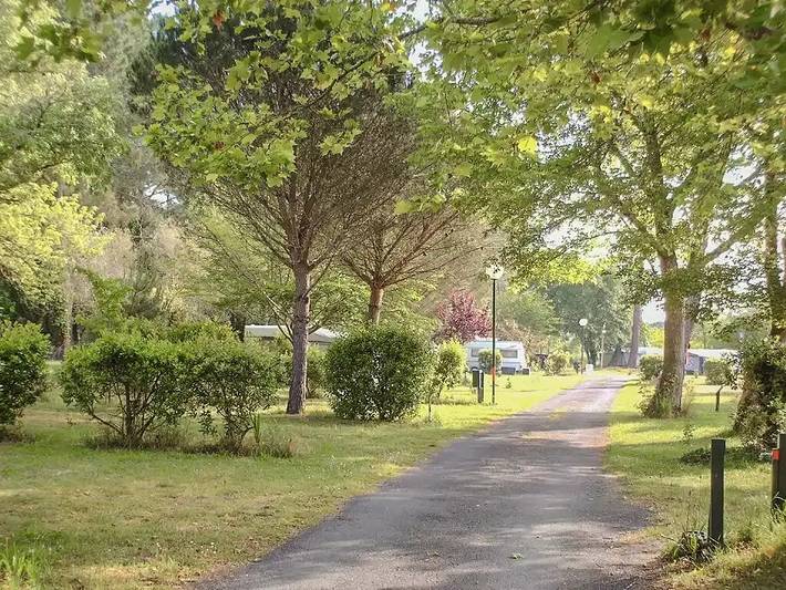 Gîte pour 5 personnes, avec terrasse, animaux acceptés dans Étang de Cazaux et de Sanguinet - 3