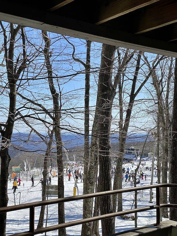 Ganze Wohnung, Neu auf dem Markt: Ski in Ski out @ Wintergreen Resort in Blue Ridge Parkway, Wintergreen