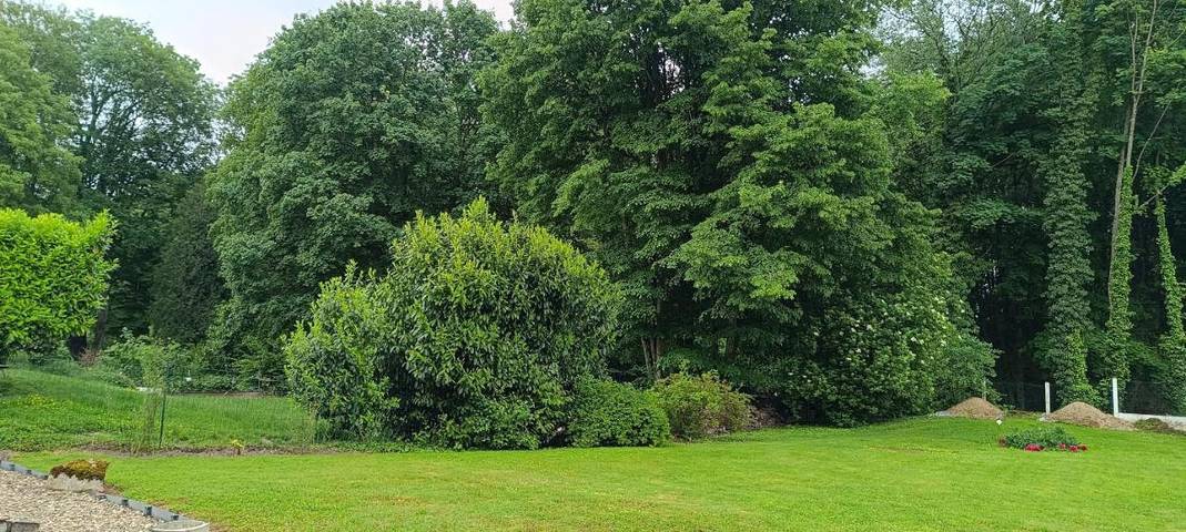 Location de vacances pour 4 personnes, avec jardin à Warmeriville - 3