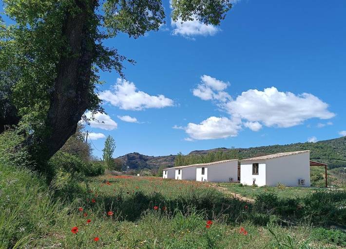 Chalet para 4 personas, con jardín además de piscina y jacuzzi en Provincia de Huesca - 4