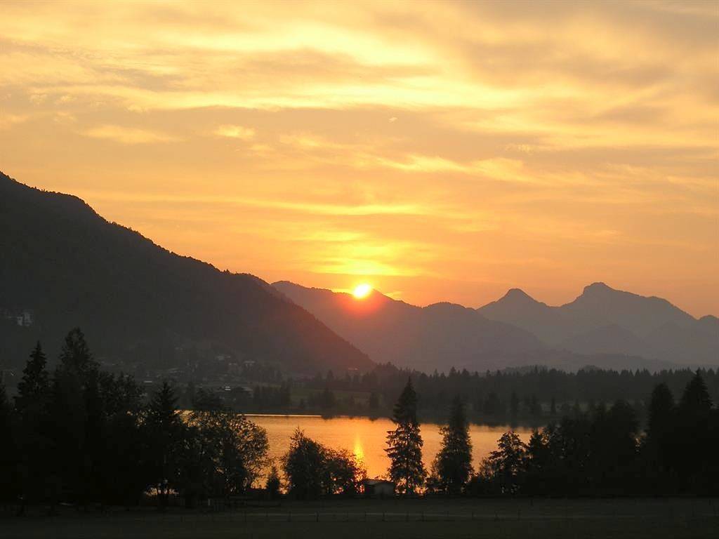 Bauernhof Lamplhof - Familie Planer in Walchsee, Kaiserwinkl