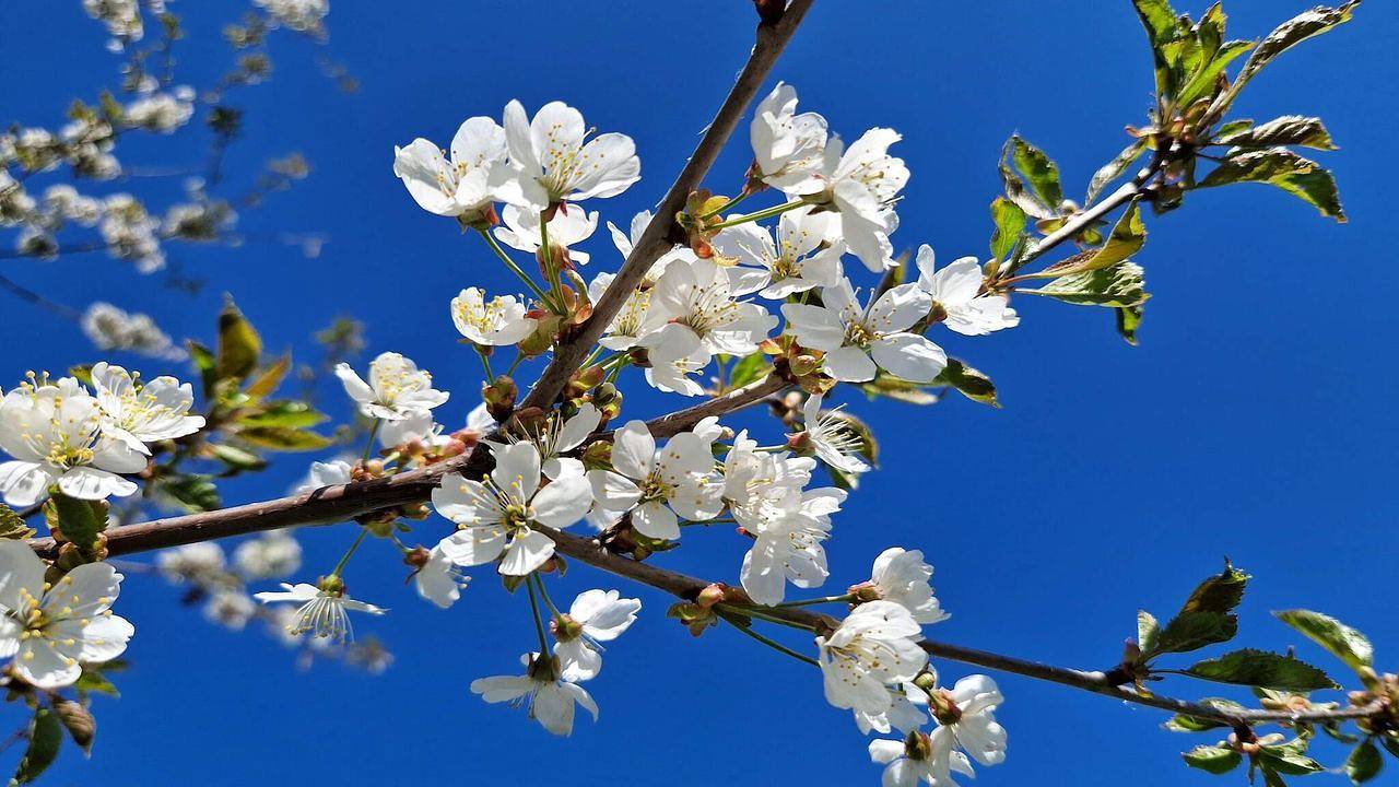 Ferienhaus für 6 Personen (50 m²) in Simsjön in Skövde, Västergötland