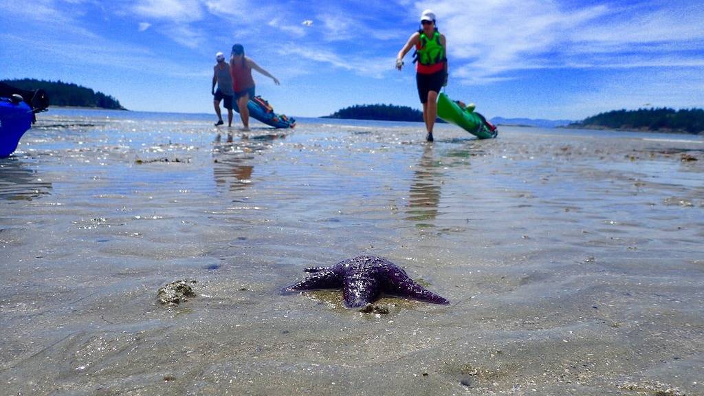 Neu! Moderne Suite mit 2 Schlafzimmern und Meerblick - Sechelt, Bc in Sechelt, Sunshine Coast Regional District
