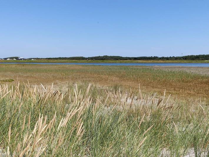 Ferienhaus für 8 Personen, mit Terrasse und Whirlpool sowie Sauna, kinderfreundlich auf Læsø