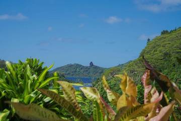 Maison d’hôte pour 4 personnes, avec jardin dans Huahine