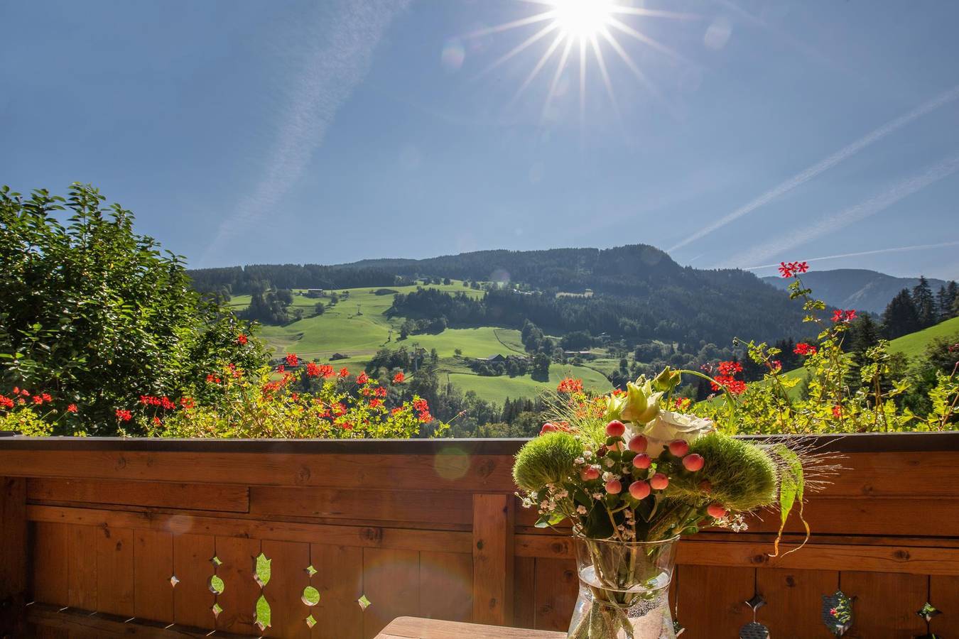 Ganze Ferienwohnung, Apartment 3-Raum für 4-5 Personen in Rohrmoos, Schladming-Dachstein