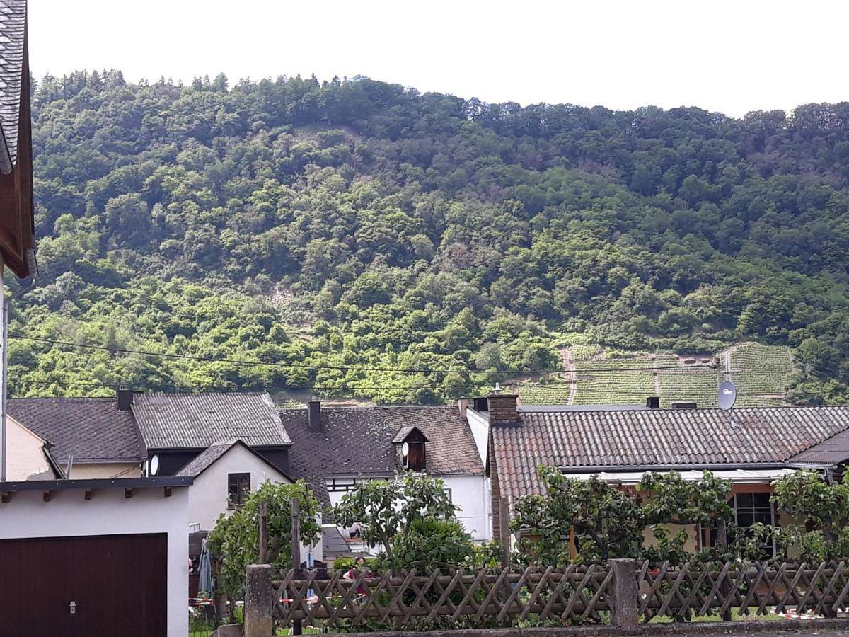 Geheel appartement, Mosel-Ferienwohnung Berhard in Bruttig-Fankel, Cochem-Zell