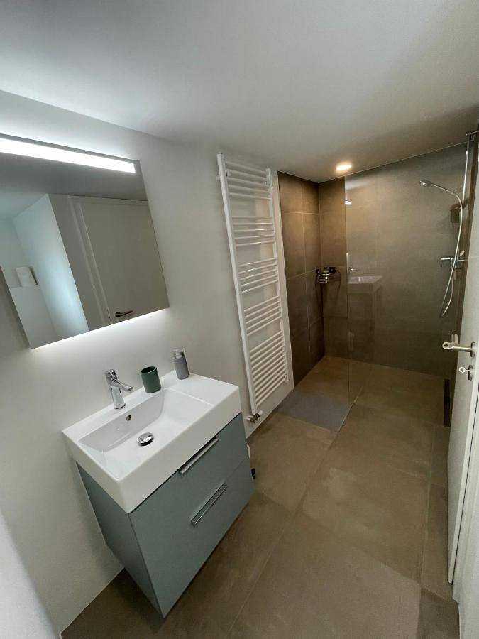 Appartement entier, Mail 62 in Neuchâtel, Lake Neuchâtel