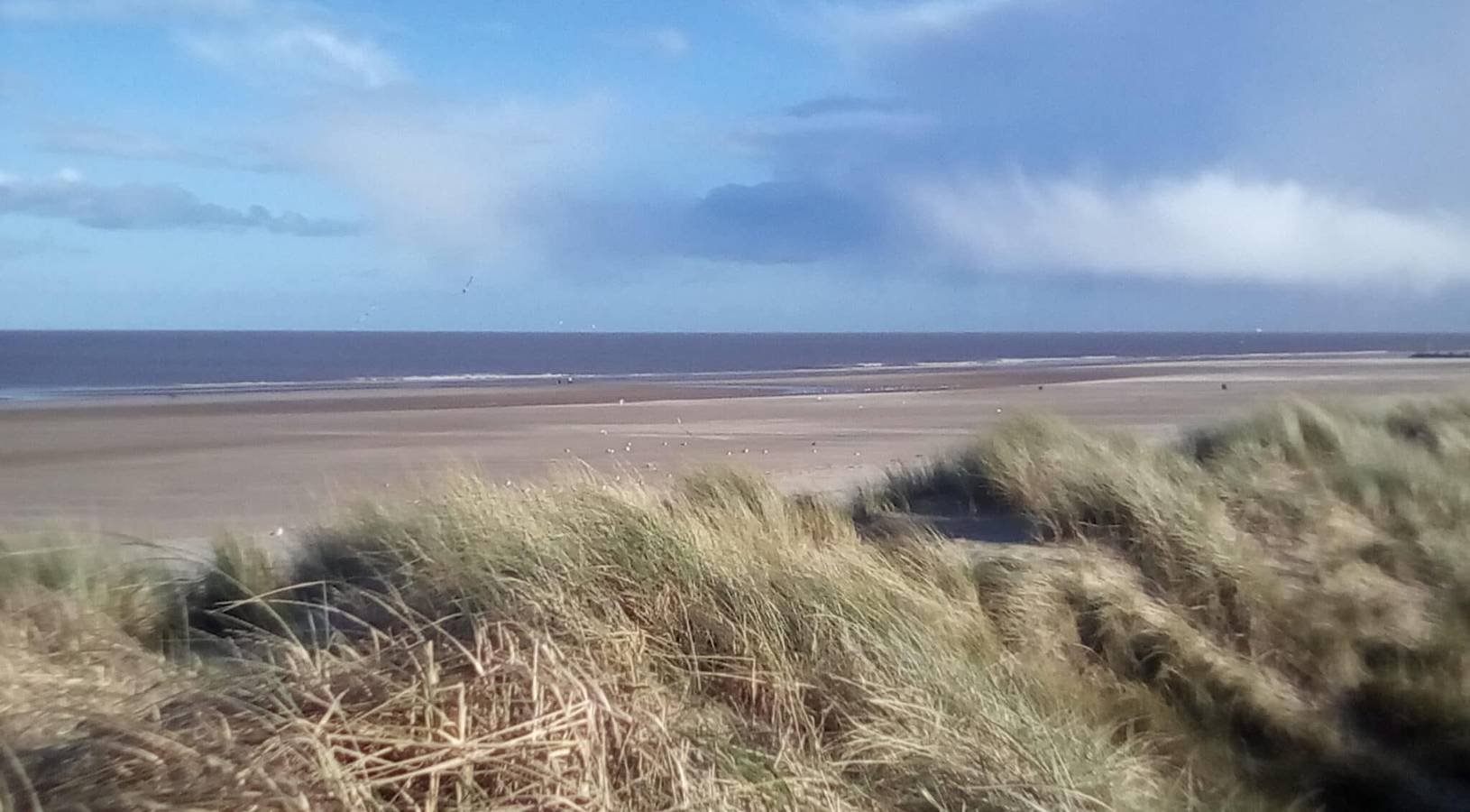 Birdsong lodge Dog Friendly Nr Sutton on Sea in Lincolnshire