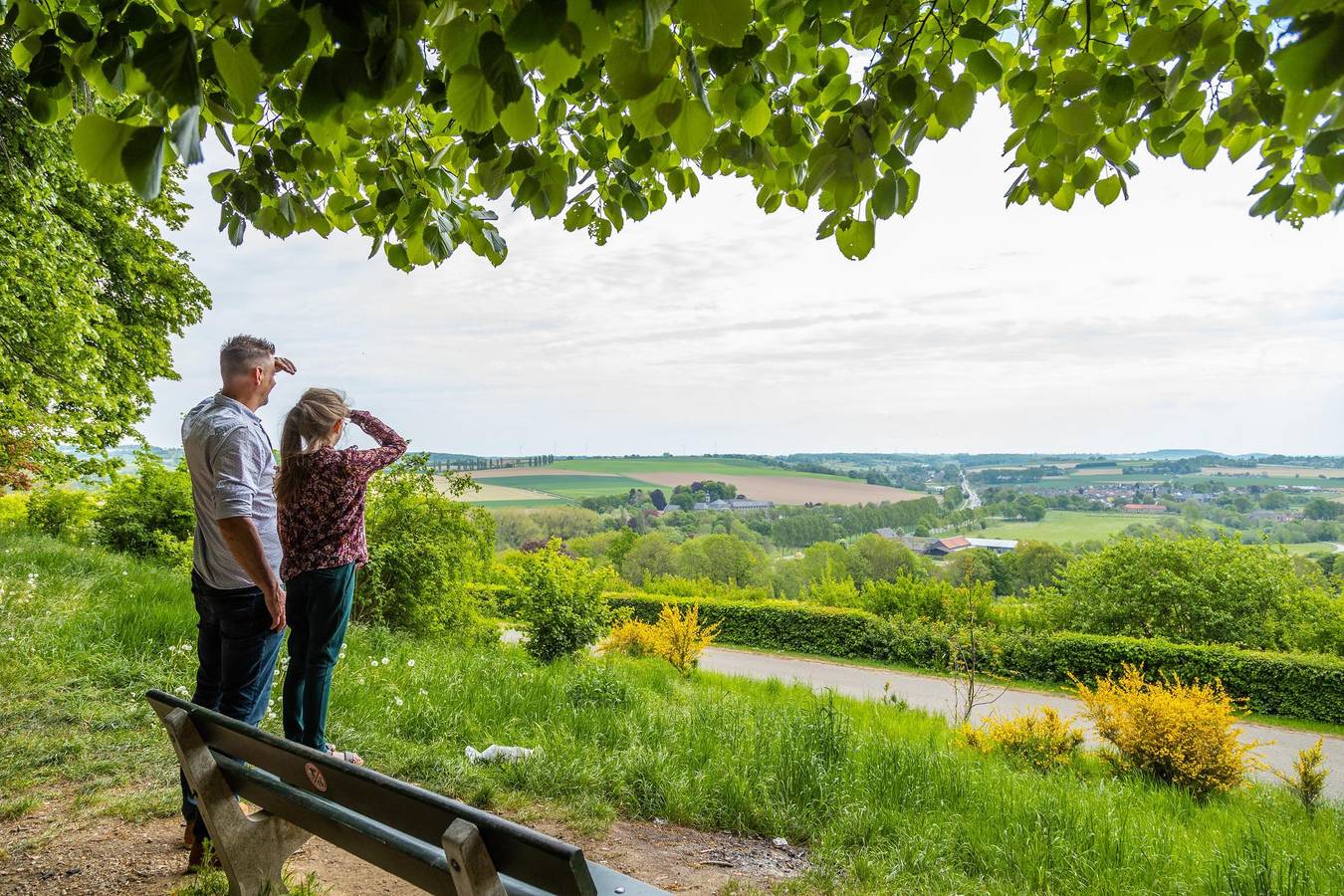 Europarcs Gulperberg — Woodlodge 2 in Gulpen, Limburg (Niederlande)