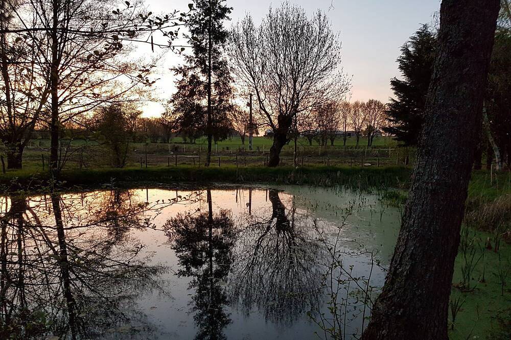 Gîte L'eau vive - Le moulin de Charin - Puy du Fou in La Pommeraie-sur-Sèvre, Fontenay-le-Comte