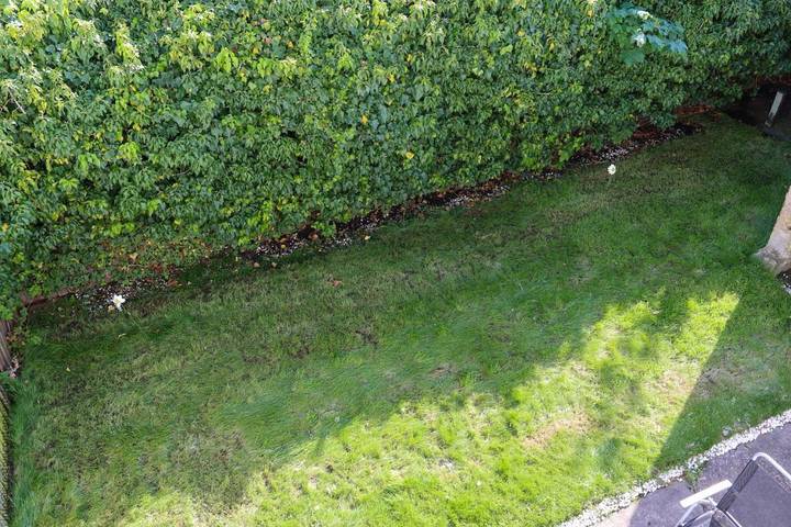 Villa pour 8 personnes, avec vue et jardin à Londres - 2