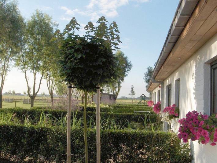 Chambre d’hôte pour 2 personnes, avec jardin ainsi que vue et terrasse, adapté aux familles à Knokke-Heist - 3