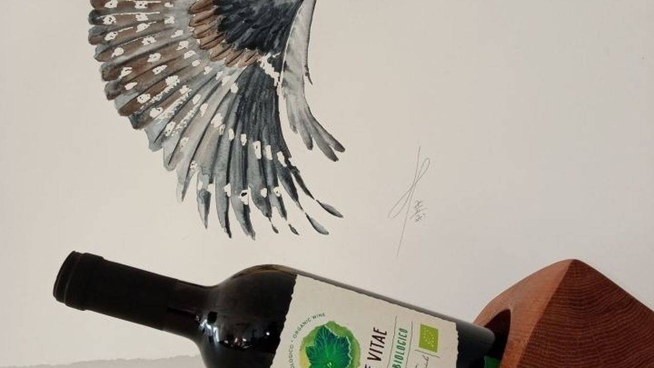 Ganze Ferienwohnung, Ferienwohnung für 3 Personen (67 m²) in Schönberg in Schönberg, Südliche Ostseeküste