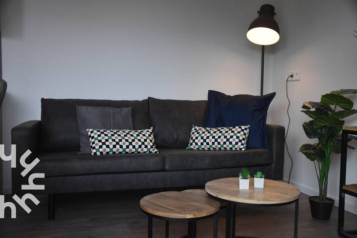 Strandhaus für 4 Personen, mit Sauna und Terrasse in Westkapelle - 3