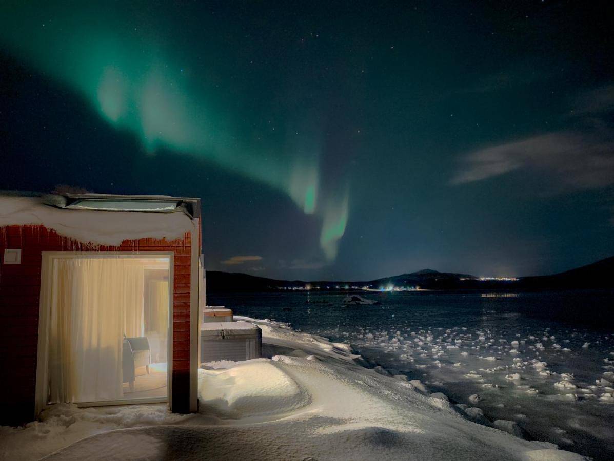 Norwegian Wild in Senja, Tranøy