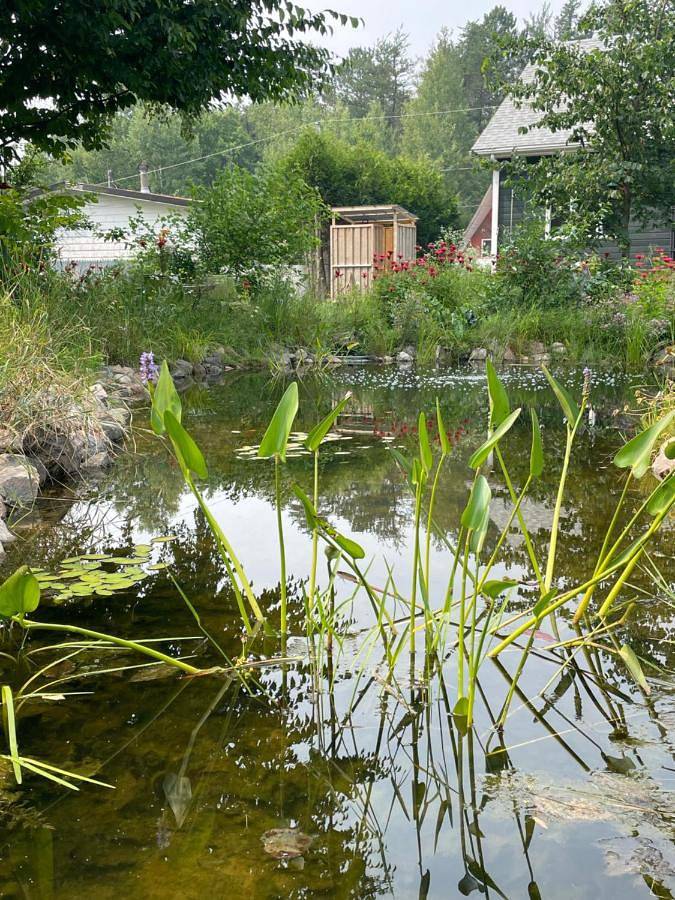 Gîte pour 4 personnes, avec jardin, animaux acceptés dans La Tuque
