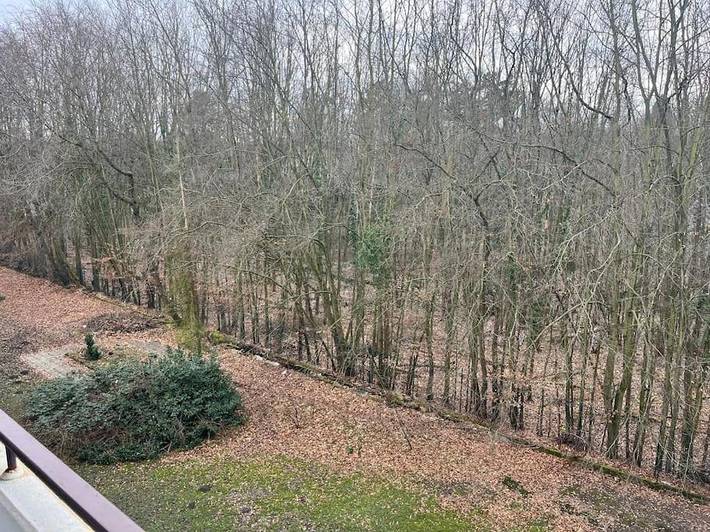 Gîte pour 2 personnes, avec vue et terrasse, animaux acceptés à Kerpen - 3