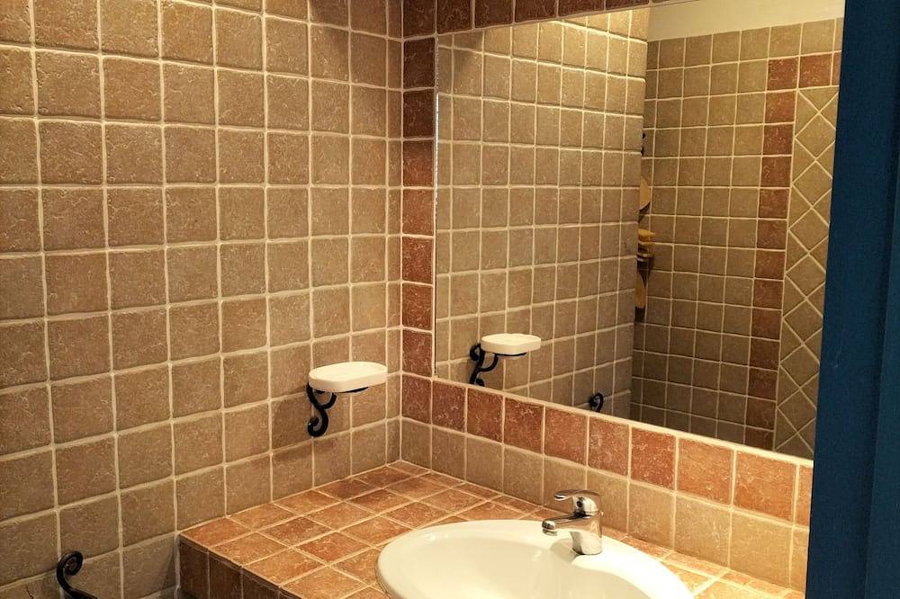 Family home in Provence with swimming pool in Noves, Region de Arles