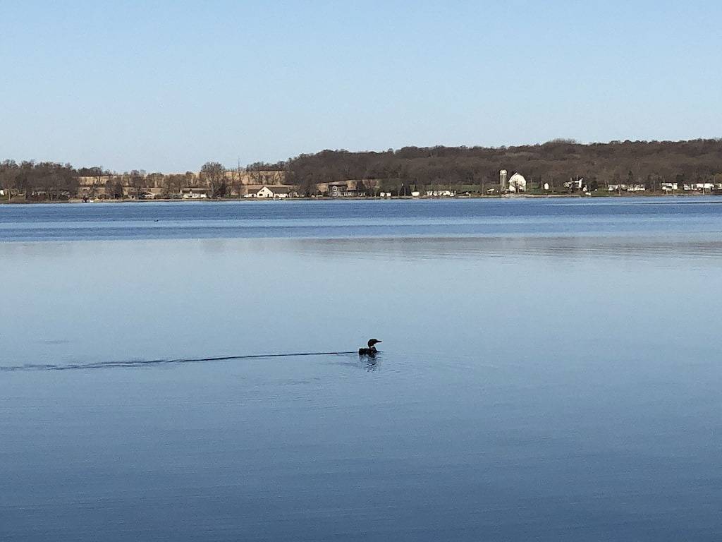 Classic Lake Sallie Hideaway with Wonderful Sunset Views in Becker County