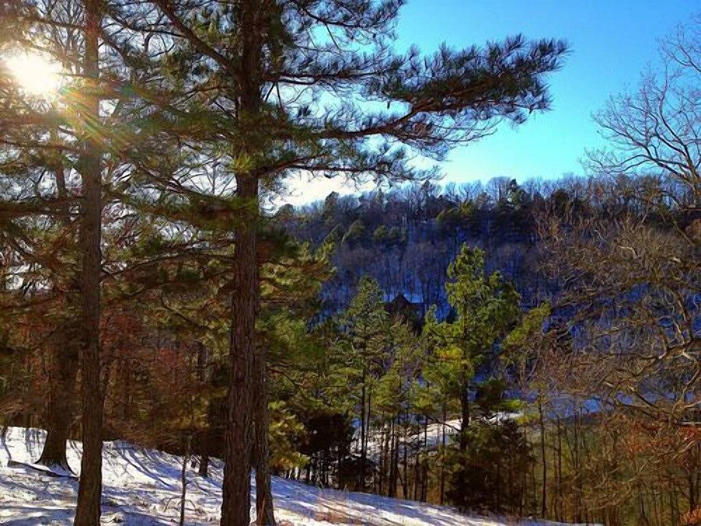 Cinnamon Valley - \"Das Haus am See\" in Eureka Springs, Carroll County (AR)