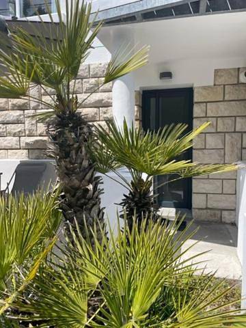 Chambre d’hôte pour 2 personnes, avec jacuzzi et jardin à Royan - 2