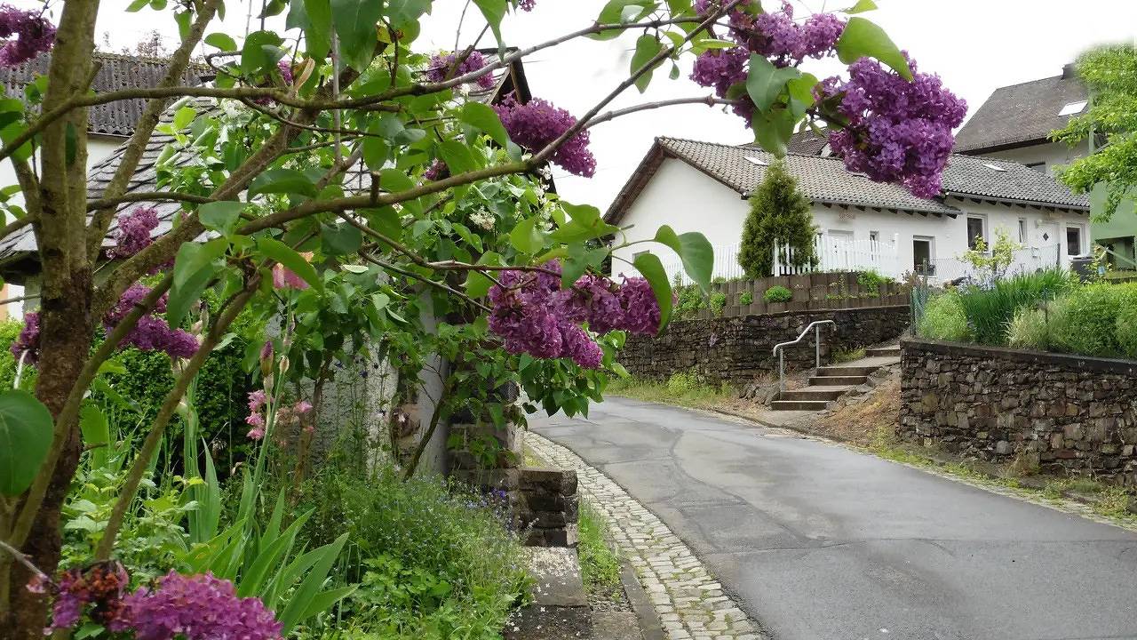 Ganze Ferienwohnung, Ferienwohnung für 6 Personen (115 m²) in Winkel in Winkel (Eifel), Vulkaneifel