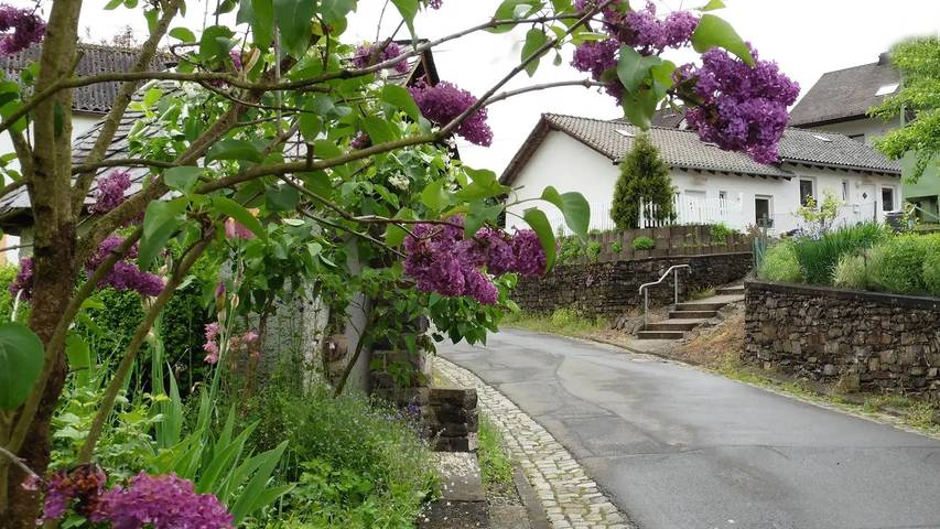 Gîte pour 4 personnes, avec jardin à Winkel - 2
