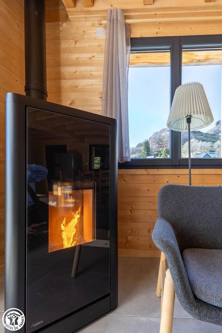 Gîte pour 6 personnes, avec jardin à Chambon-sur-Lac - 4