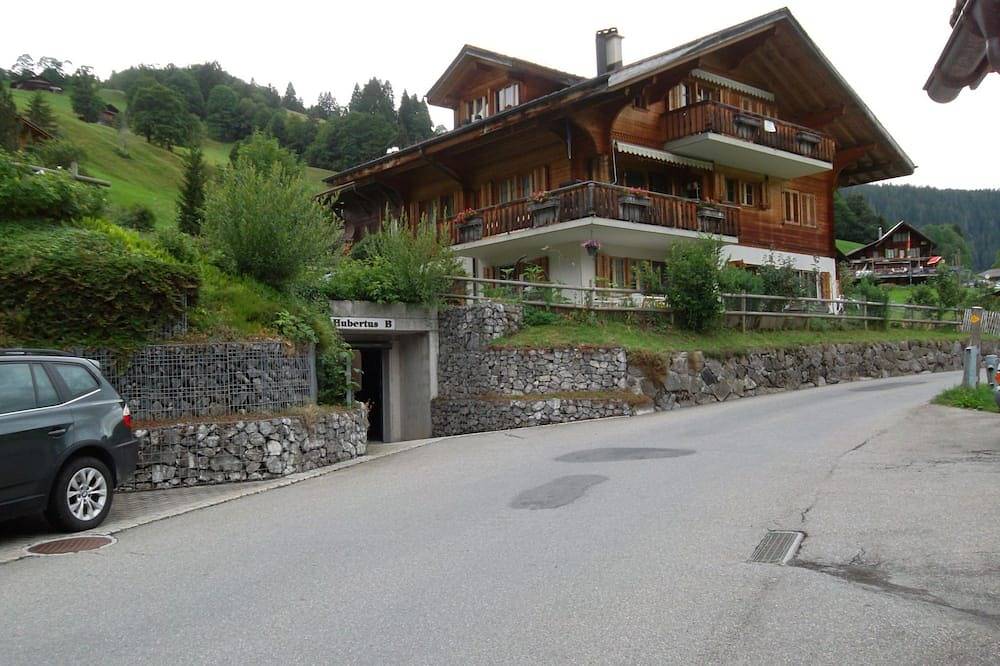 Ganze Wohnung, Hubertus A by Interhome in Habkern, Berner Oberland