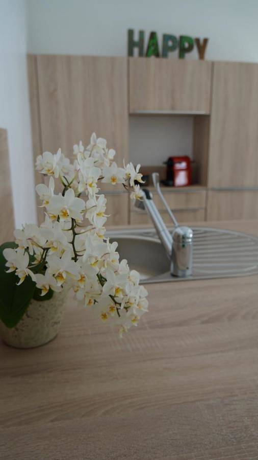 Location de vacances pour 2 personnes, avec jardin à Saint-Xandre - 4