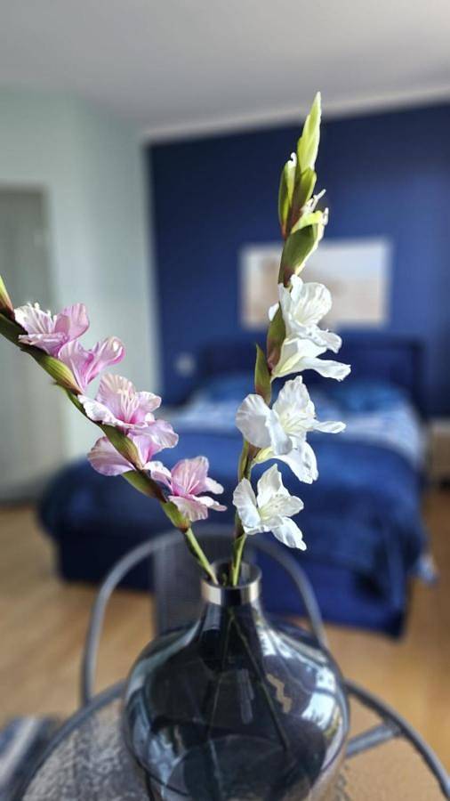 Obiekt b&b dla 2 osób, z ogród i widok, zwierzęta dozwolone w Ustka