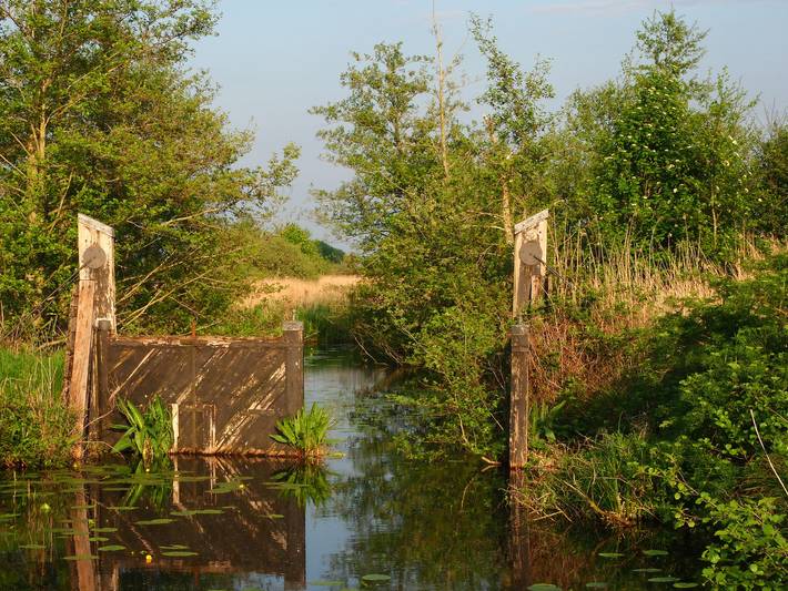 Ferienhaus für 2 Personen, mit Whirlpool und Garten in Friesland - 2