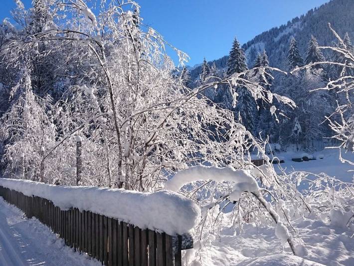 Ganze Wohnung, Mein Elternhaus - Bio-Ferienwohnung I 1 in Bregenzerwald (Vorarlberg), Au