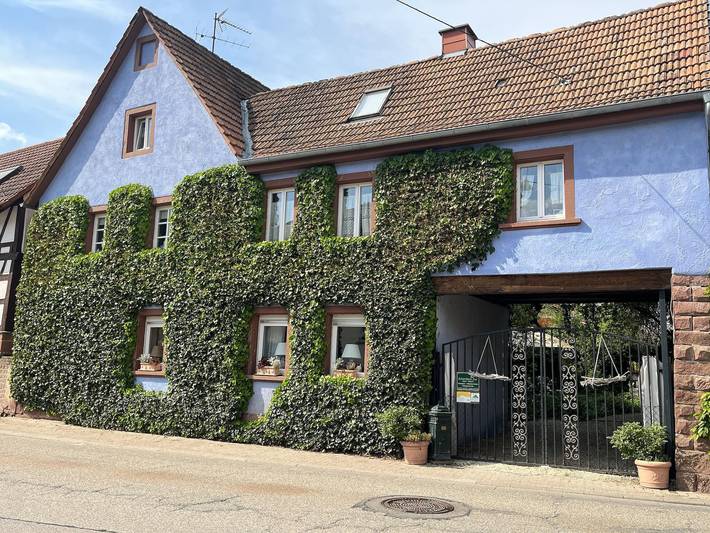 Ferienwohnung für 5 Personen, mit Terrasse und Garten, kinderfreundlich in Silz (Pfalz)
