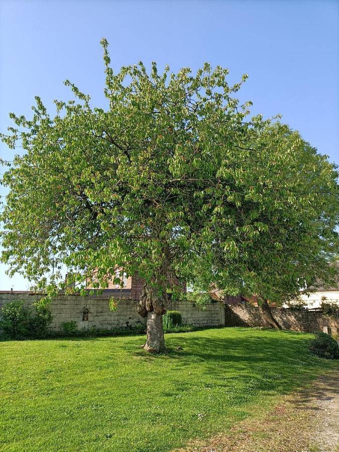 Location de vacances pour 2 personnes, avec Terrasse ainsi que Jardin et Vue à Saint-Quentin-la-Motte-Croix-au-Bailly - 2
