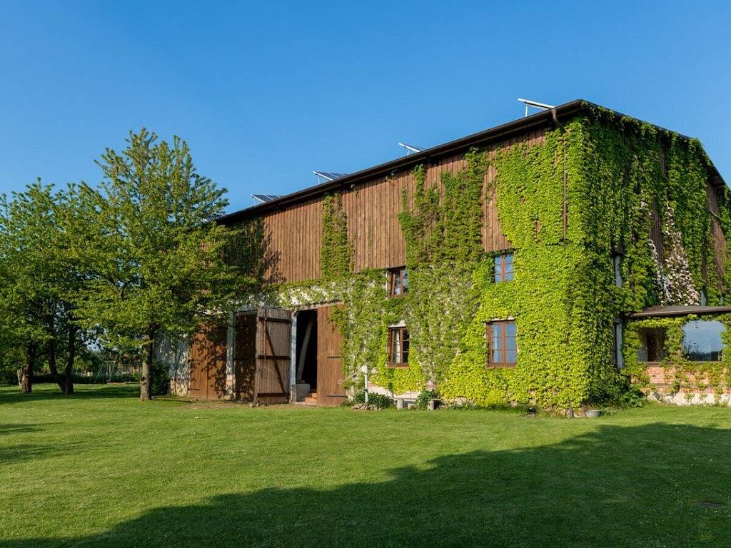 Tarnewitz in der Gutsscheune Thorstorf in Thorstorf, Warnow