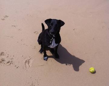 Holiday Home for 16 People in Callala Beach, Jervis Bay, Photo 3