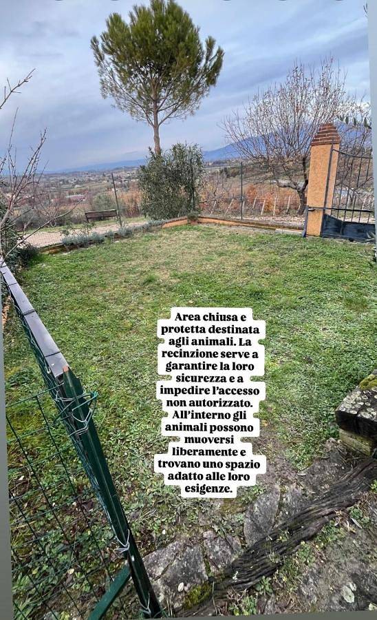 Gîte pour 4 personnes, avec jardin et vue, animaux acceptés à Bevagna - 2