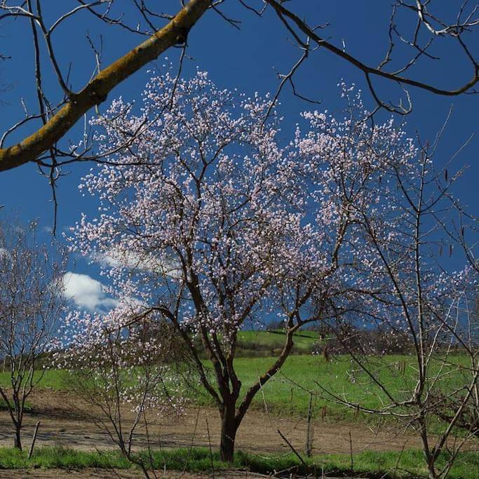 Location de vacances pour 5 personnes, avec jardin et vue, animaux acceptés dans Lesignano De Bagni - 2