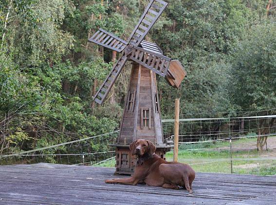 Bauernhof für 4 Personen, mit Balkon/Terrasse und Balkon, mit Haustier in Neunburg vorm Wald - 4
