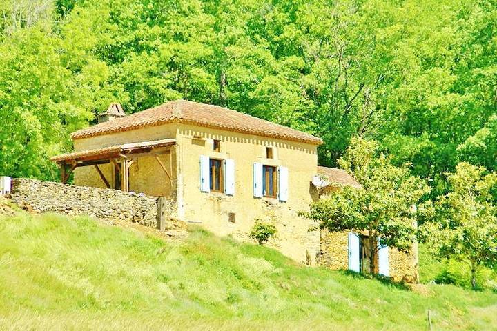 Gîte pour 6 personnes, avec terrasse ainsi que piscine et jardin dans Périgord Noir - 4