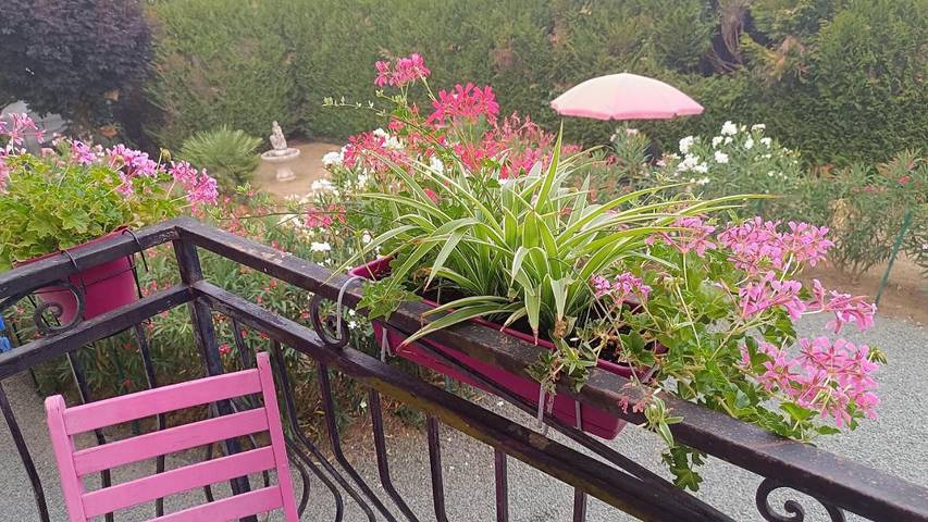 Location de vacances pour 3 personnes, avec jardin à Nantheuil - 2